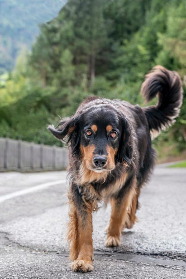 Ruggenthalerhof Lägenhet Matrei in Osttirol Exteriör bild